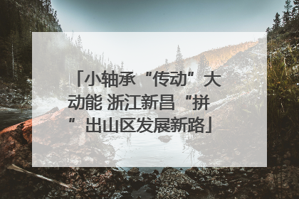 小轴承“传动”大动能 浙江新昌“拼”出山区发展新路
