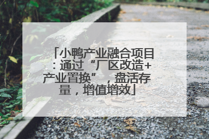 小鸭产业融合项目：通过“厂区改造+产业置换”，盘活存量，增值增效