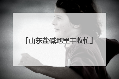 山东盐碱地里丰收忙