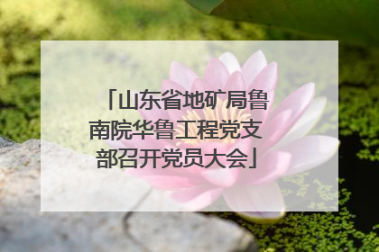 山东省地矿局鲁南院华鲁工程党支部召开党员大会