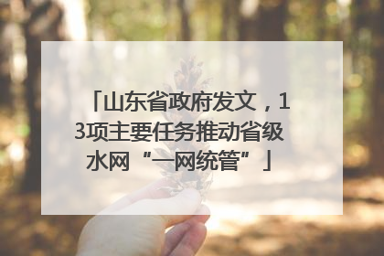 山东省政府发文，13项主要任务推动省级水网“一网统管”