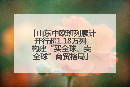 山东中欧班列累计开行超1.18万列 构建“买全球、卖全球”商贸格局
