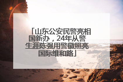山东公安民警亮相国新办，24年从警生涯陈强用警徽照亮国际维和路