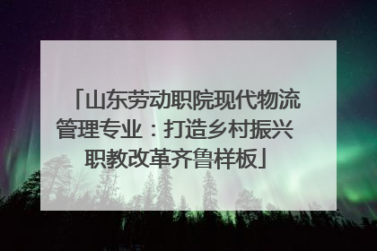 山东劳动职院现代物流管理专业：打造乡村振兴职教改革齐鲁样板