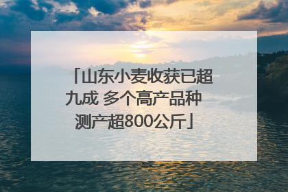 山东小麦收获已超九成 多个高产品种测产超800公斤