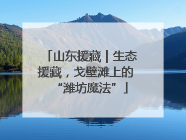 山东援藏｜生态援藏，戈壁滩上的“潍坊魔法”