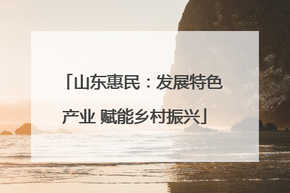 山东惠民：发展特色产业 赋能乡村振兴
