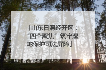 山东日照经开区：“四个聚焦”筑牢湿地保护司法屏障