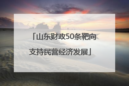 山东财政50条靶向支持民营经济发展