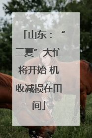 山东：“三夏”大忙将开始 机收减损在田间