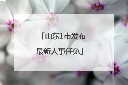 山东1市发布最新人事任免