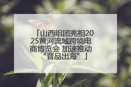 山西组团亮相2025黄河流域跨境电商博览会 加速推动“晋品出海”