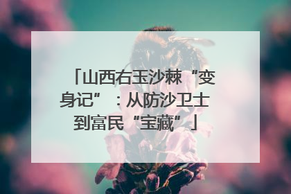 山西右玉沙棘“变身记”：从防沙卫士到富民“宝藏”