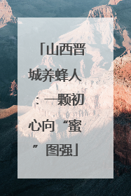 山西晋城养蜂人：一颗初心向“蜜”图强