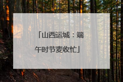 山西运城：端午时节麦收忙