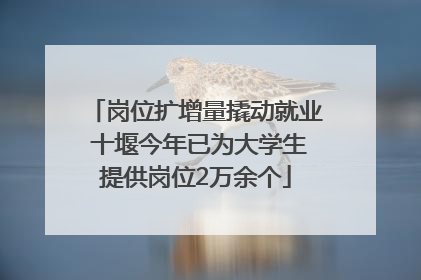 岗位扩增量撬动就业 十堰今年已为大学生提供岗位2万余个