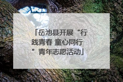 岳池县开展“行践青春 童心同行”青年志愿活动