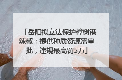 岳阳拟立法保护樟树港辣椒：提供种质资源需审批，违规最高罚5万