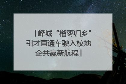 峄城“榴枣归乡”引才直通车驶入校地企共赢新航程