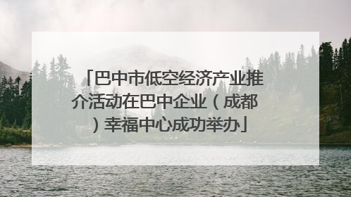 巴中市低空经济产业推介活动在巴中企业（成都）幸福中心成功举办