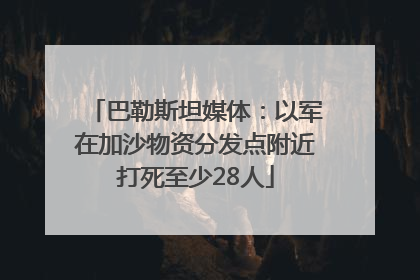 巴勒斯坦媒体：以军在加沙物资分发点附近打死至少28人