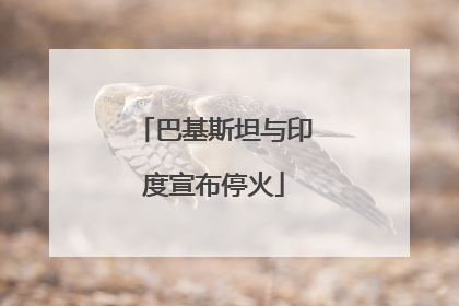 巴基斯坦与印度宣布停火