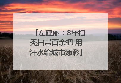 左建丽：8年扫秃扫帚百余把 用汗水给城市添彩
