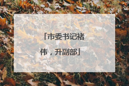 市委书记褚伟，升副部