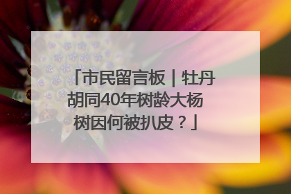 市民留言板|牡丹胡同40年树龄大杨树因何被扒皮?
