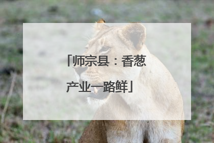 师宗县：香葱产业一路鲜