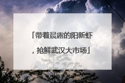 带着晨露的阳新虾，抢鲜武汉大市场