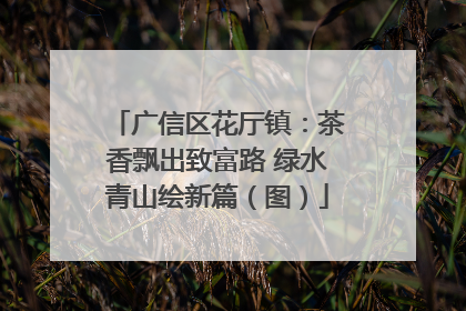 广信区花厅镇：茶香飘出致富路 绿水青山绘新篇（图）