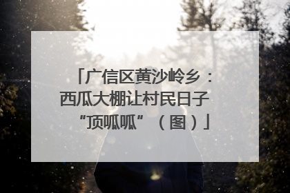 广信区黄沙岭乡：西瓜大棚让村民日子“顶呱呱”（图）