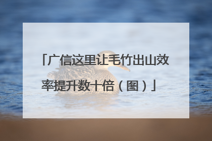 广信这里让毛竹出山效率提升数十倍（图）