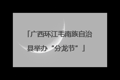 广西环江毛南族自治县举办“分龙节”