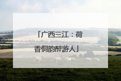 广西三江：荷香侗韵醉游人