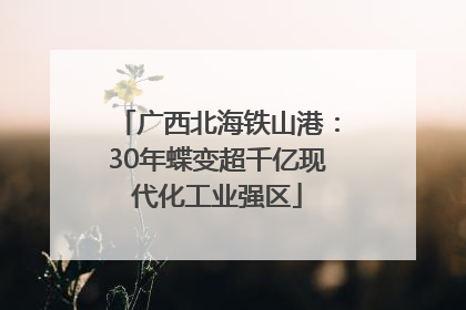 广西北海铁山港：30年蝶变超千亿现代化工业强区