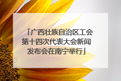 广西壮族自治区工会第十四次代表大会新闻发布会在南宁举行