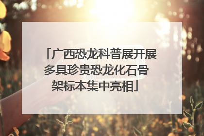 广西恐龙科普展开展 多具珍贵恐龙化石骨架标本集中亮相