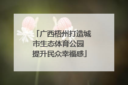 广西梧州打造城市生态体育公园 提升民众幸福感