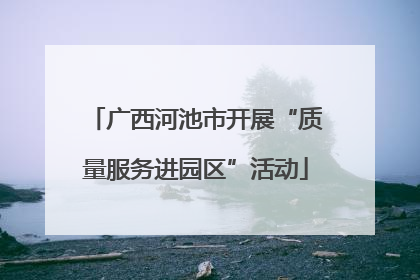 广西河池市开展“质量服务进园区”活动