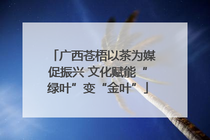广西苍梧以茶为媒促振兴 文化赋能“绿叶”变“金叶”