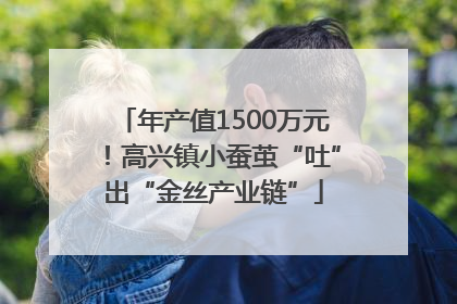 年产值1500万元！高兴镇小蚕茧“吐”出“金丝产业链”