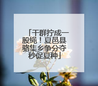 干群拧成一股绳！夏邑县骆集乡争分夺秒促夏种