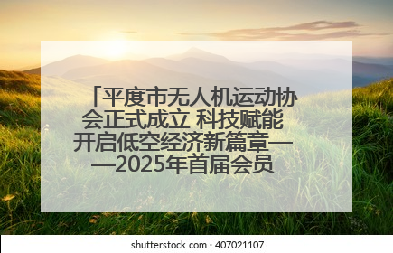 平度市无人机运动协会正式成立 科技赋能开启低空经济新篇章——2025年首届会员大会暨无人机应用发展论坛成功举办