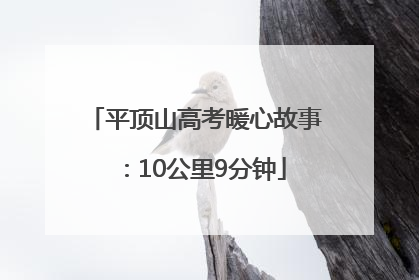 平顶山高考暖心故事：10公里9分钟