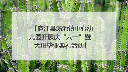 庐江县汤池镇中心幼儿园开展庆“六一”暨大班毕业典礼活动