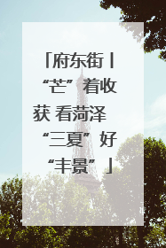 府东街丨“芒”着收获 看菏泽“三夏”好“丰景”