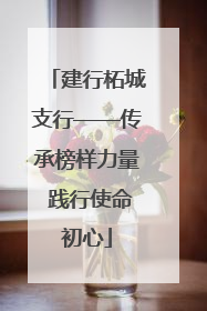 建行柘城支行——传承榜样力量 践行使命初心