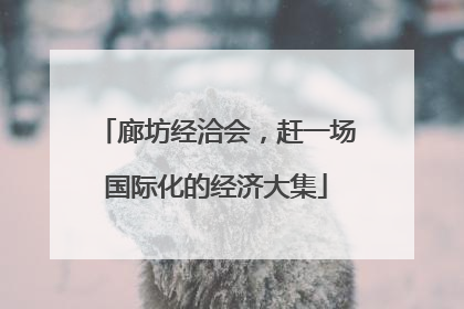 廊坊经洽会，赶一场国际化的经济大集